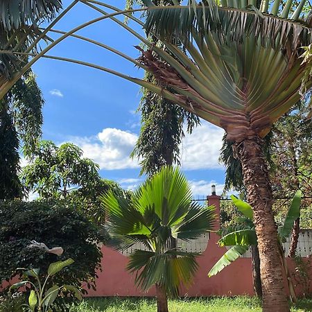 Bungalow X Garten & Terrasse X Wlan X Europaeisch موشي المظهر الخارجي الصورة