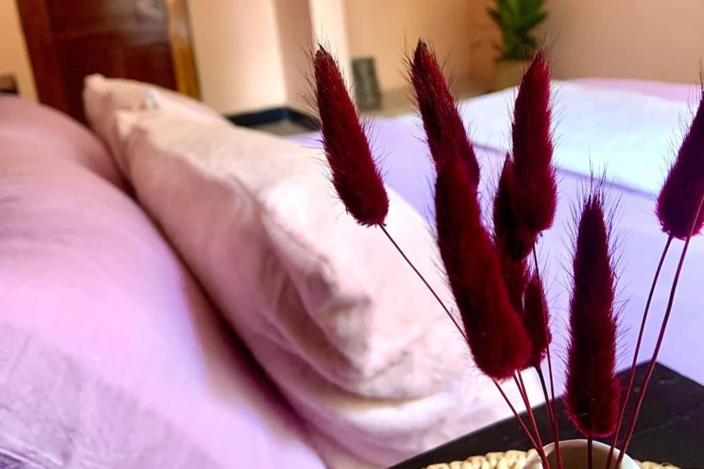 Bungalow X Garten & Terrasse X Wlan X Europaeisch موشي المظهر الخارجي الصورة