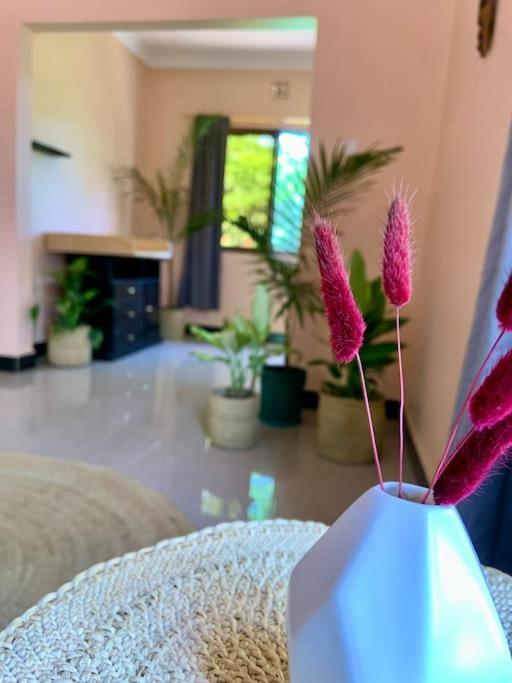 Bungalow X Garten & Terrasse X Wlan X Europaeisch موشي المظهر الخارجي الصورة