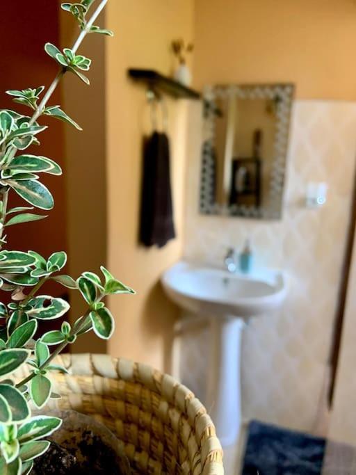 Bungalow X Garten & Terrasse X Wlan X Europaeisch موشي المظهر الخارجي الصورة
