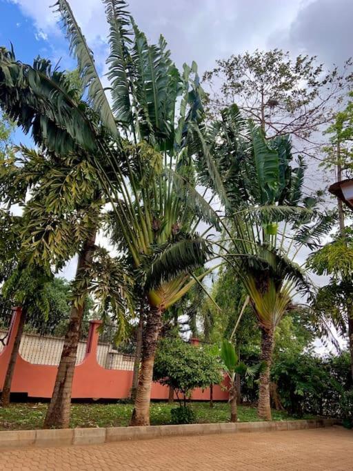 Bungalow X Garten & Terrasse X Wlan X Europaeisch موشي المظهر الخارجي الصورة