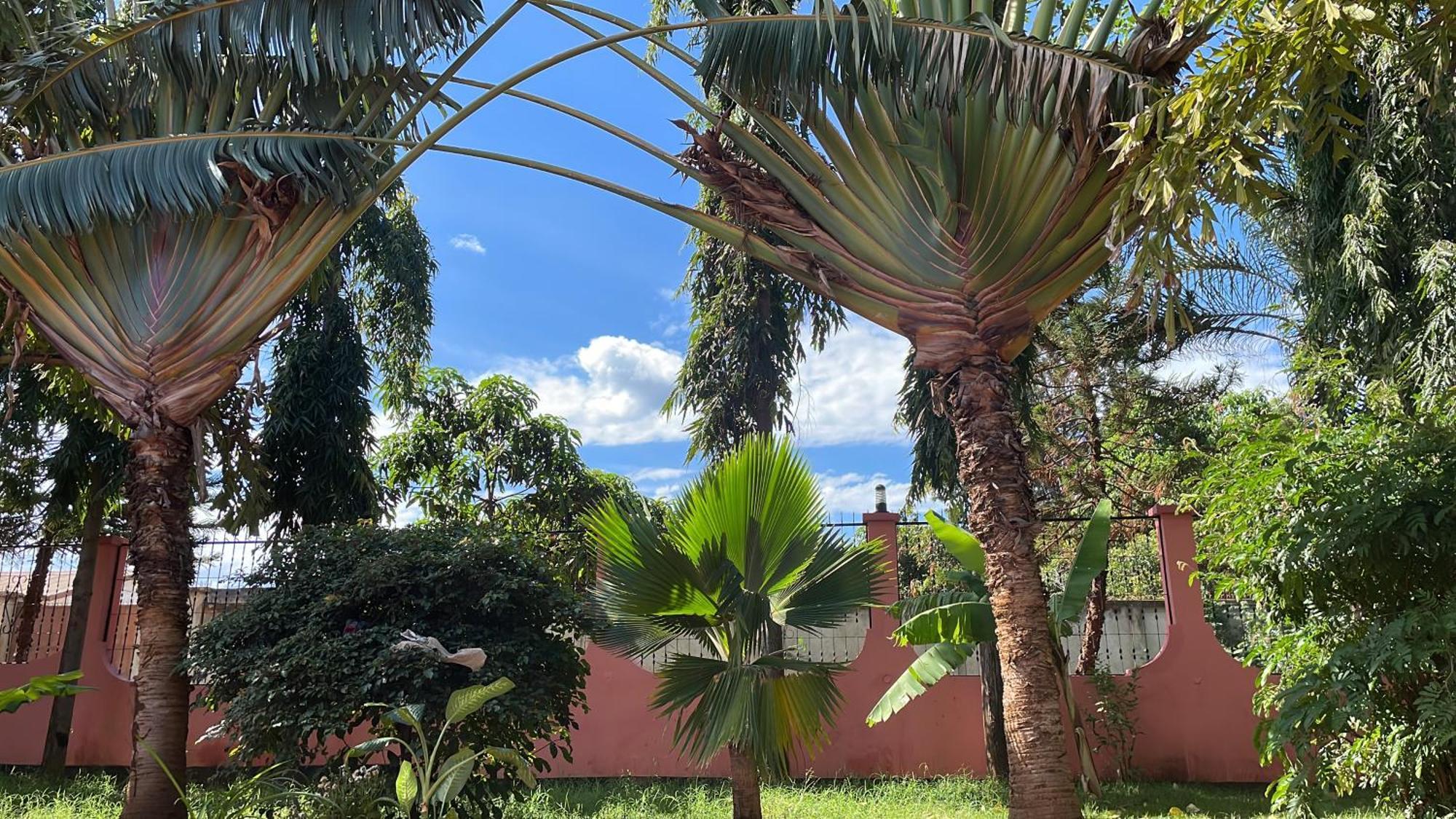 Bungalow X Garten & Terrasse X Wlan X Europaeisch موشي المظهر الخارجي الصورة